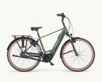 Pegasus Ravenna Evo 7F, 500 Wh | E-bike