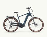Pegasus Savino Evo 12 Lite, 750 Wh | E-bike