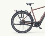Pegasus Ravenna EVO 7F Disc, 500 Wh | E-bike - Afbeelding 2