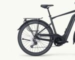 Pegasus Strong EVO 11 Lite, 625 Wh | E-bike - Afbeelding 2