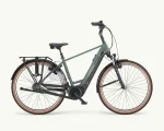 Pegasus Ravenna Evo 7F, 500 Wh | E-bike