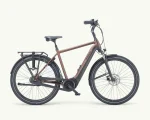 Pegasus Ravenna Evo 7F Disc, 500 Wh | E-bike