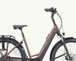 Pegasus Ravenna Evo 7F Disc, 500 Wh | E-bike - Afbeelding 12