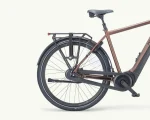 Pegasus Ravenna Evo 7F Disc, 500 Wh | E-bike - Afbeelding 2