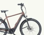 Pegasus Ravenna Evo 7F Disc, 500 Wh | E-bike - Afbeelding 3