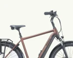 Pegasus Ravenna Evo 7F Disc, 500 Wh | E-bike - Afbeelding 4