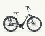 Pegasus Ravenna Evo 7F Disc, 500 Wh | E-bike - Afbeelding 5