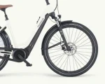 Pegasus Ravenna Evo 7F Disc, 500 Wh | E-bike - Afbeelding 7