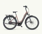 Pegasus Ravenna Evo 7F Disc, 500 Wh | E-bike - Afbeelding 9