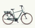 Pegasus Siena E7F NL, 500 Wh | E-bike