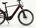 Winora Yakun X10E, 625 Wh | E-bike - Afbeelding 7