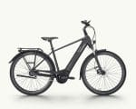 Pegasus Solero Evo 5F, 750 Wh | E-bike