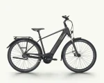 Pegasus Solero Evo 5F, 750 Wh | E-bike