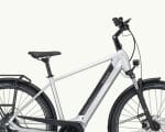 Pegasus Solero Evo 9, 750 Wh | E-bike - Afbeelding 11