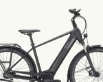 Pegasus Solero Evo 5F, 750 Wh | E-bike - Afbeelding 4