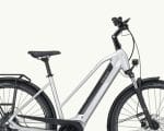 Pegasus Solero Evo 9, 750 Wh | E-bike - Afbeelding 7