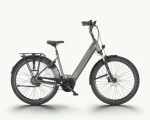 Pegasus Ravenna Evo NV Belt Performance, 750 Wh | E-bike